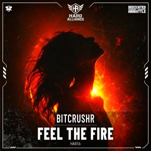 Feel The Fire